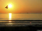 Peñiscola Beach