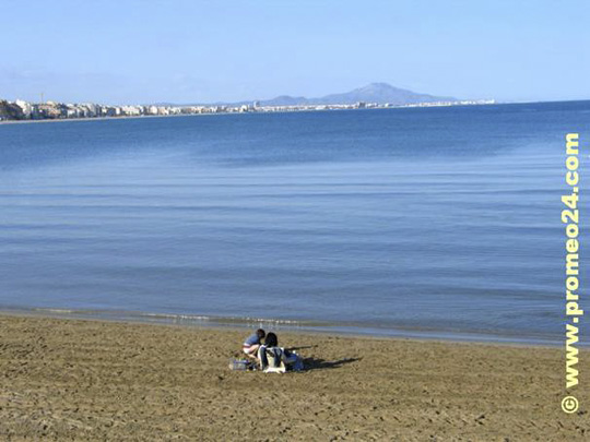 Pe&ntilde;iscola