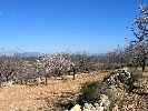 Grundstück in Cervera