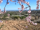 Grundstück in Cervera