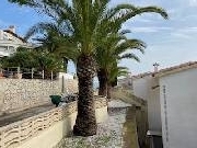 Apartment in Peñiscola